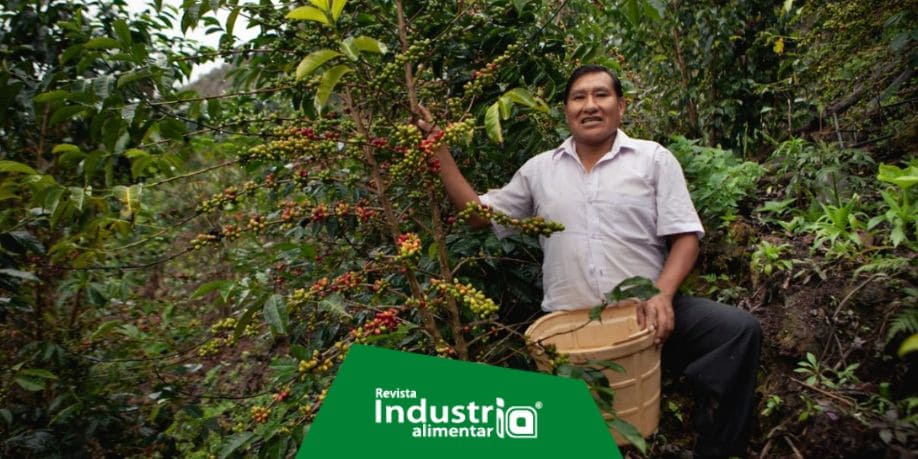 Perú obtiene el premio al mejor café del mundo en Italia Revista Industria Alimentaria